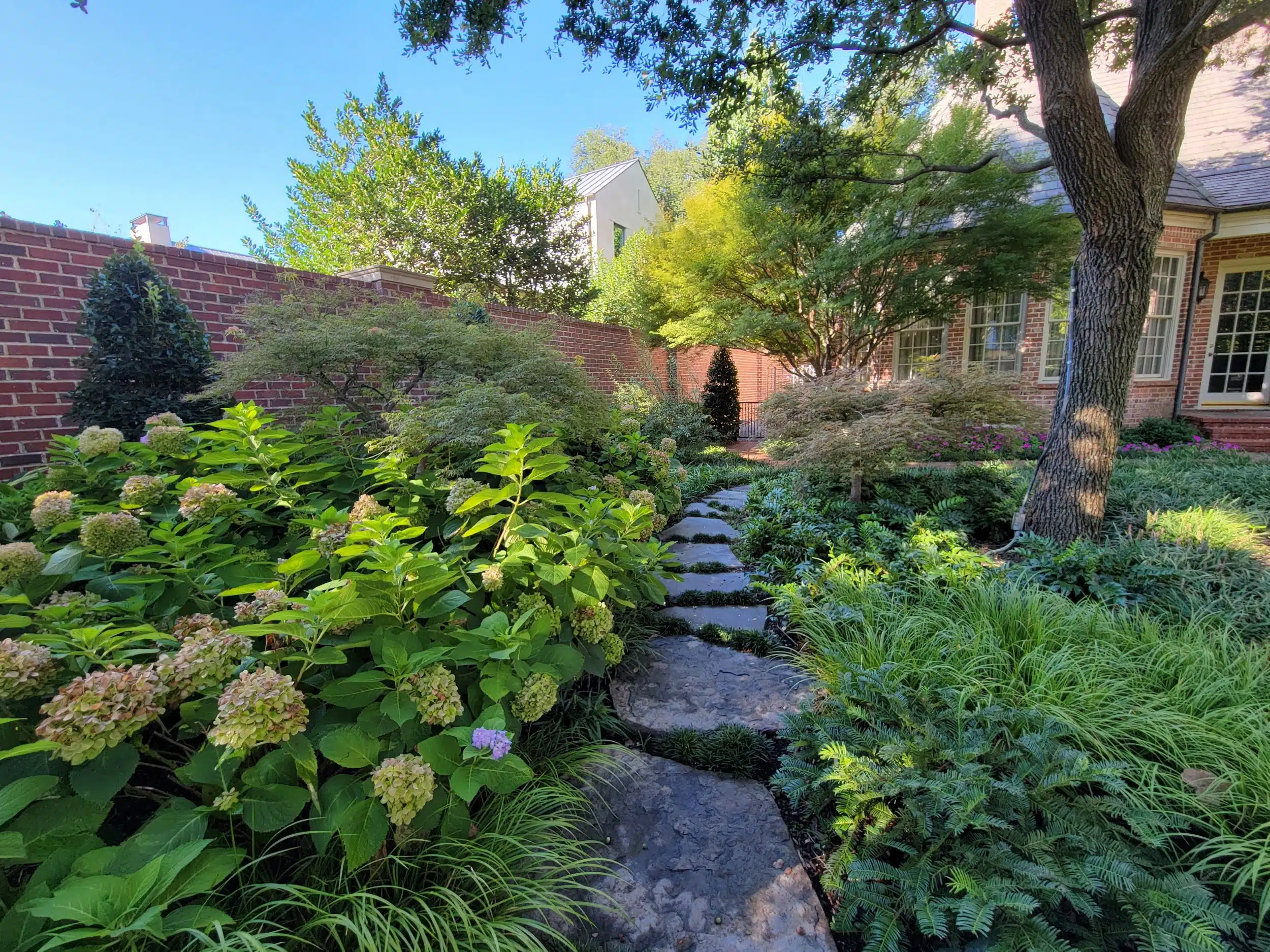 Landscape Design Murphy
